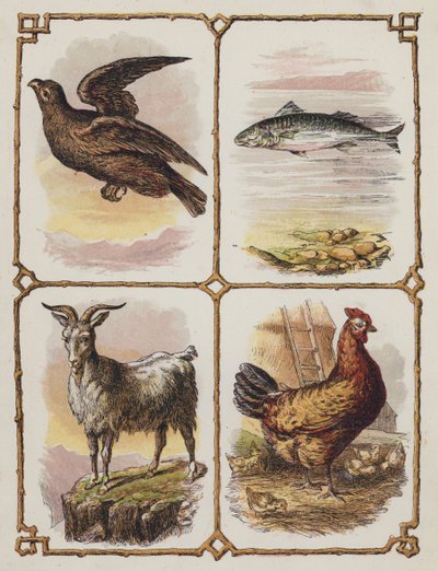 Aigle, poisson, chèvre, poule - English School