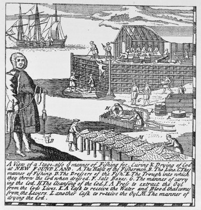 Premières étapes de pêche, illustration du Volume IV de 