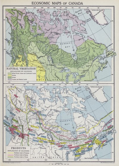 Cartes économiques du Canada (lithographie en couleur) - English School