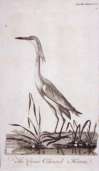 Aigrette, de 