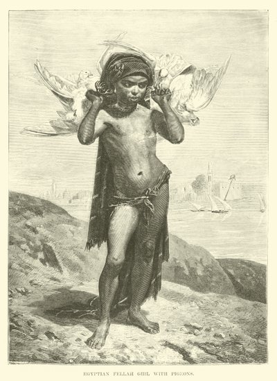 Fille Fellah égyptienne avec des pigeons - English School