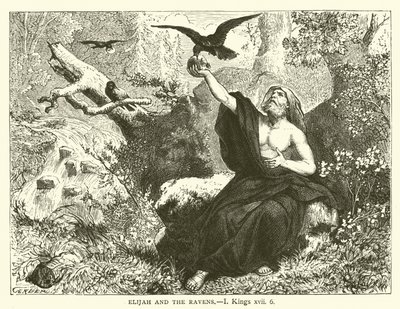 Élie et les Corbeaux, I Rois, xvii, 6 - English School