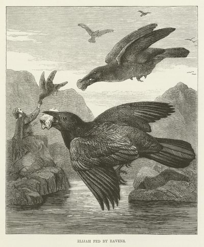 Élie nourri par les corbeaux - English School
