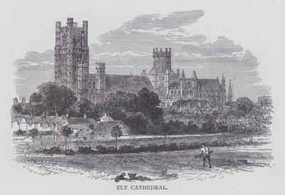 Cathédrale d