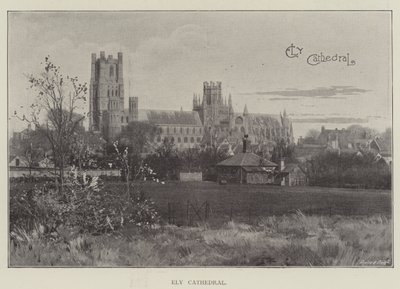 Cathédrale d