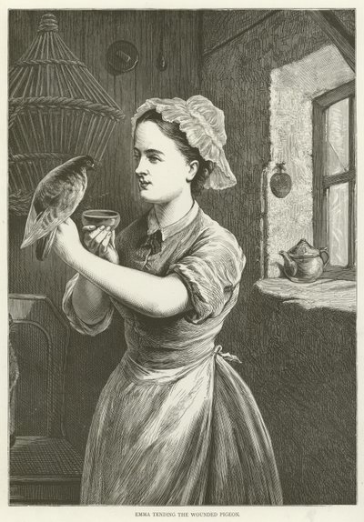 Emma soignant le pigeon blessé - English School