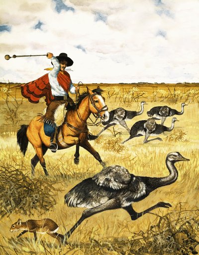 Chasse à l