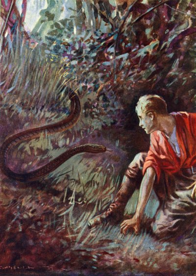 Rencontre avec un serpent dans la jungle (lithographie en couleur) - English School