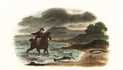 Pêcheur anglais Graham chassant le saumon dans les bas-fonds monté à cheval avec une lance à trois pointes de 5 mètres - English School