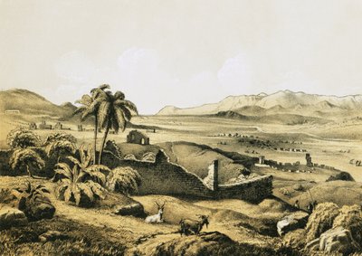 Éphèse depuis le sud - English School