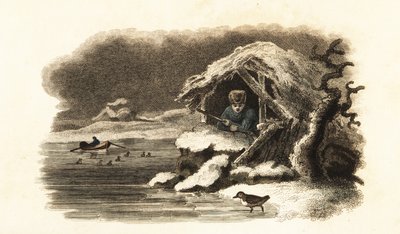 Cincle plongeur européen entrant dans le lac Nantua, France, et continuant immergé au fond du lac dans une bulle d