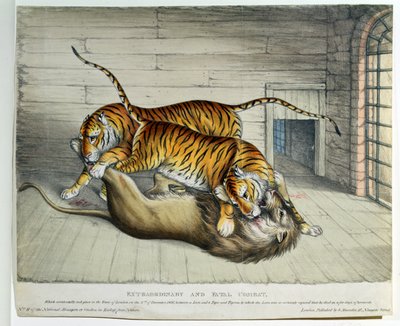 Combat extraordinaire et fatal, 1830 - English School