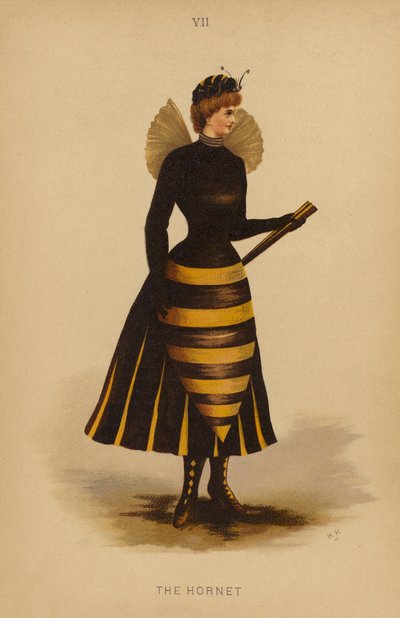 Costumes de fantaisie : Le frelon - English School