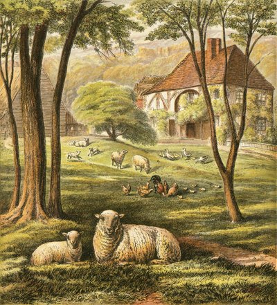 Ferme - English School