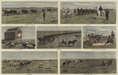 Agriculture dans les plaines d