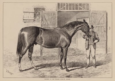 Pères du haras anglais, St Albans (gravure) - English School