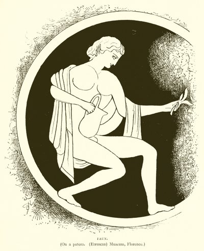 Faune - English School