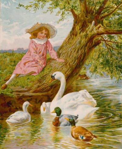 Animaux à plumes - English School