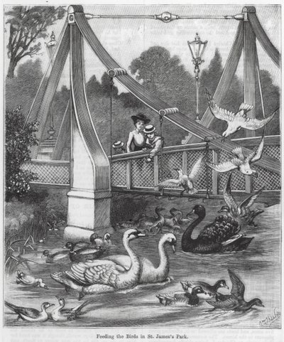 Nourrir les oiseaux dans le parc St James (gravure) - English School