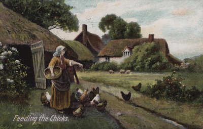 Nourrir les poussins - English School