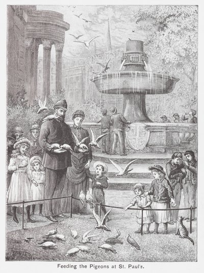 Nourrir les pigeons à St Paul (gravure) - English School