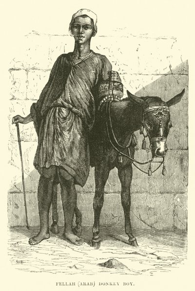 Fellah, Arabe; garçon à l