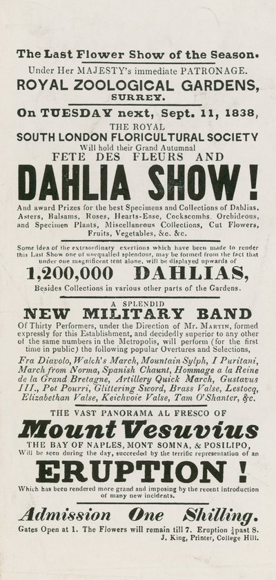 Fête des fleurs et exposition de dahlias - English School