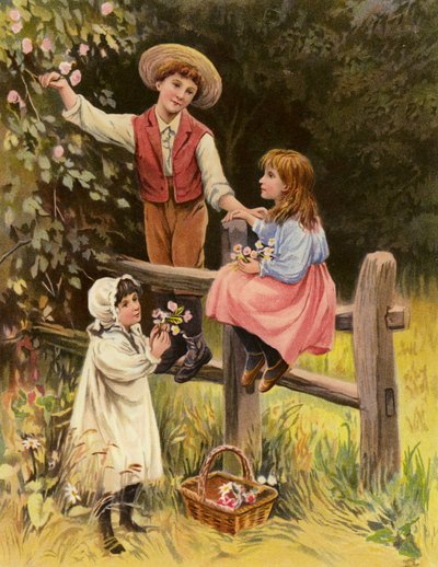 Fleurs des champs - English School