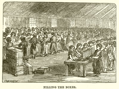 Remplissage des Boîtes - English School