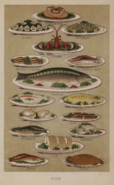 Poisson - English School