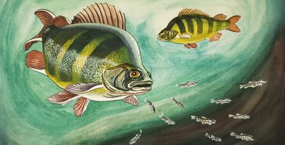 Poisson - English School