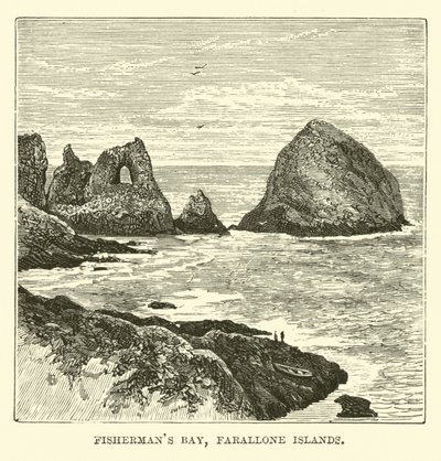 Baie des Pêcheurs, Îles Farallon - English School