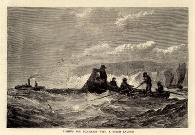 Pêche aux pilchards avec un bateau à vapeur (gravure) - English School