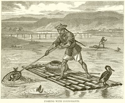 Pêche avec des cormorans - English School