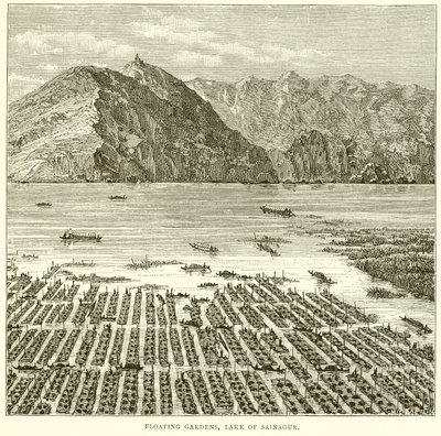 Jardins flottants, lac de Srinagur - English School