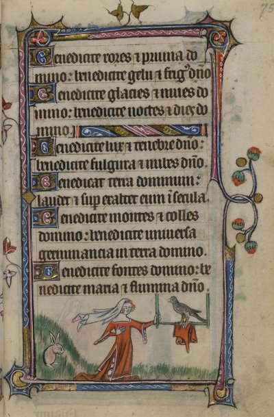 Illustration des 