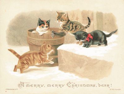 Quatre petits chatons jouant, carte de Noël - English School