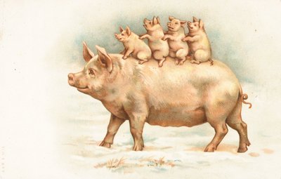 Quatre porcelets chevauchant le dos de leur mère - English School