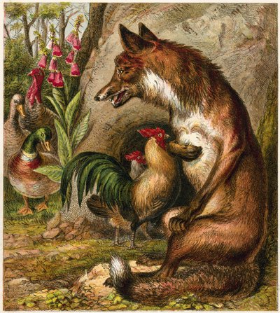 Renard - English School