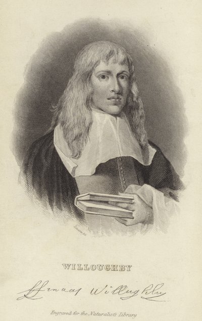 Francis Willughby - English School