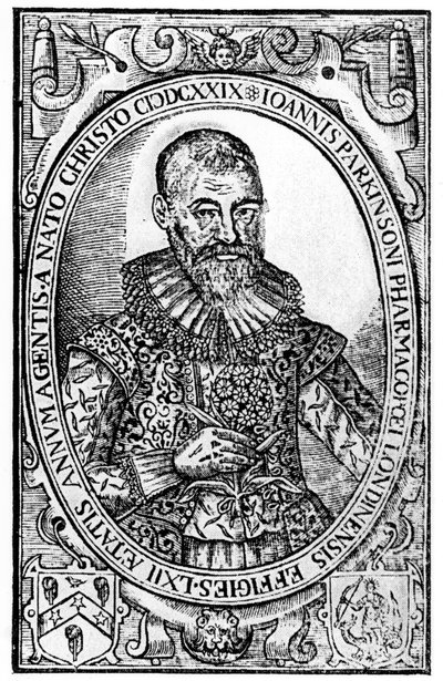 Frontispice de Paradisi in Sole Paradisus Terrestris par John Parkinson, publié en 1629 - English School