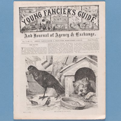 Frontispice de The Young Fanciers Guide, 1874 - English School
