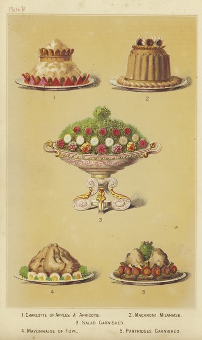 Plats de fruits et volaille - English School