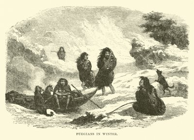 Fuegiens en hiver - English School