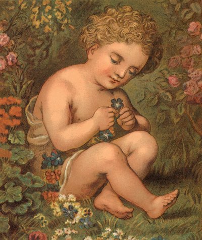 Fleurs de jardin - English School