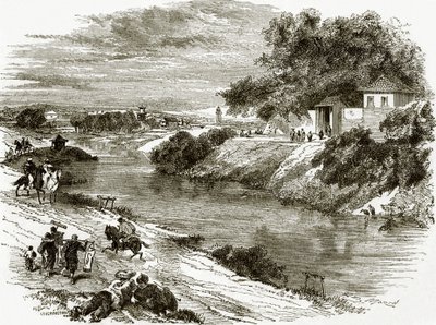 Jardin de l