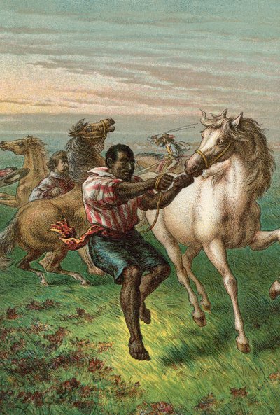 Les cavaliers de Garibaldi domptant des chevaux sauvages - English School