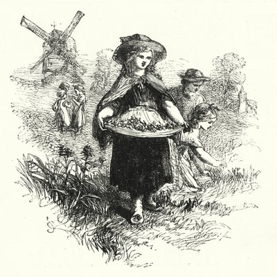 Récolte de Primevères - English School