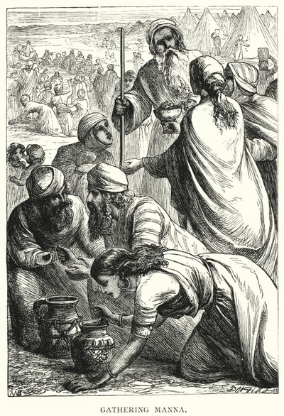 La Récolte de la Manne - English School