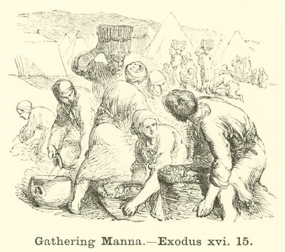 Récolte de la manne, Exode, xvi, 15 - English School